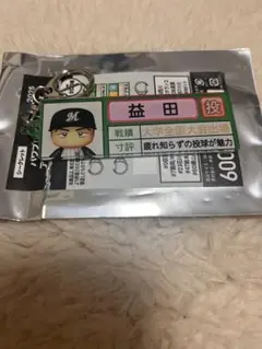 益田直也 パワプロ✖️マリーンズ