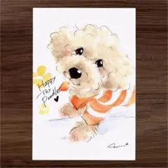 イラスト 原画 ポストカード 絵 【トイプードル】8