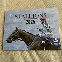 STALLIONS SHADAI STALLION STATION 2025