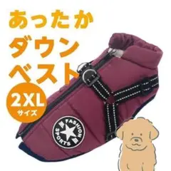 Item thumbnail for item e9dfb24b-fada-47ff-b4a1-b6e5e162a14c