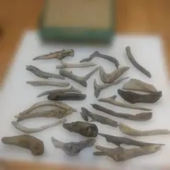 Item thumbnail for item 29d30e2d-d68f-447a-bd68-1fdc933d5425