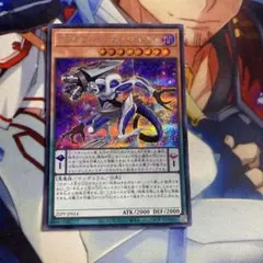 遊戯王 DDカウント・サーベイヤー シークレット 25PP e5