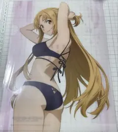 ソードアート・オンライン SAO アスナ クリアファイル