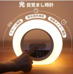 Item thumbnail for item 4d05505d-b35d-40f8-9303-5ad814275a09