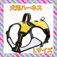 Item thumbnail for item 109d7fd4-0b94-430b-8360-82ae1c501b42