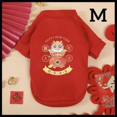 Item thumbnail for item fd846dc5-442c-4f5b-98f9-7e12ffb71fce