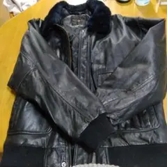 Item thumbnail for item d7767978-5f7a-4cef-bacc-597730781602