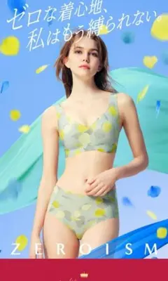 ZEROISM ブラジャー・ショーツセット Mサイズ