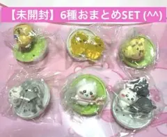 【新品・未開封】ちいかわ☆チョコサプ6種類SETおまとめ売り　シークレット有