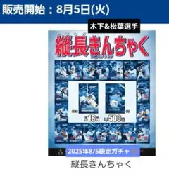新品未使用ドラゴンズ2025年8/5縦長巾着木下&松葉2点セット