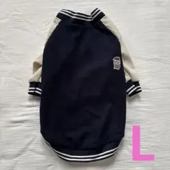 Item thumbnail for item e85818fa-dd1d-4be7-afe6-b2bdbf9ae15f