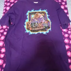 ゲリラセールX-LARGE 紫 Tシャツ Mサイズ