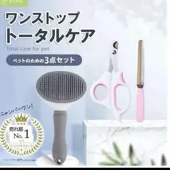 Item thumbnail for item b90c3186-d0bb-4b24-8dd4-269f6dd92074