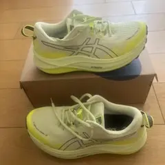 Item thumbnail for item 516c6218-a206-4eb8-9fdb-df4ccad4d90a