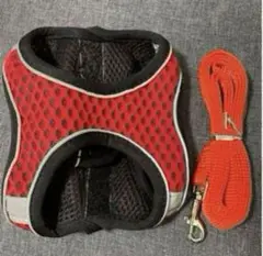 Item thumbnail for item 69584801-7208-4aee-ba40-cfe271102ef5