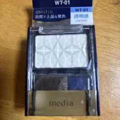 Item thumbnail for item 7d493f56-cca7-42d5-ba48-2438547ebedd