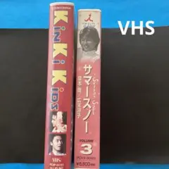 2025年最新】KiNKi KiDS with 35万人ファン 世紀のLIVE [VHS]の