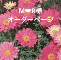 Item thumbnail for item c4440eed-6c6b-466d-9f81-99bd10ded402