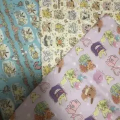 女の子オススメセット③ はぎれ　生地　布　ポケモン