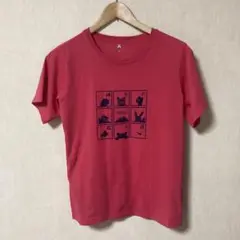 mont-bell 　大雪山国立公園　ご当地Tシャツ　北海道限定　サイズL