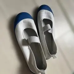 シューズ　上履き　中学　23cm
