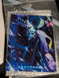 CR vanilla バニラ 誕生日グッズ アクリルパネル チェキ CR CrazyRaccoon VanilLa バースデーグッズ チェキ 誕生日