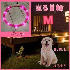 光る首輪 ピンク Mサイズ わんちゃん 夜 お散歩 安心 安全 USB充電