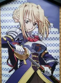 プリンセスラバー シルヴィア バスタオル シルヴィア マイクロファイバーバスタオル 「プリンセスラバー