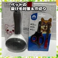 Item thumbnail for item a4251e8c-b040-4cac-bb79-0ba340c56eec