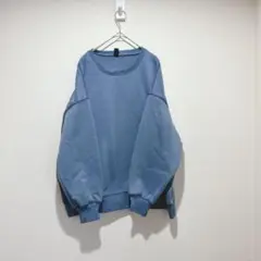 【デイジー】青 クルーネック スウェット 裏起毛トレーナー　Lサイズ