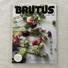 Item thumbnail for item 1b84e9d9-7e7f-4974-a90b-92cfd141bfdd