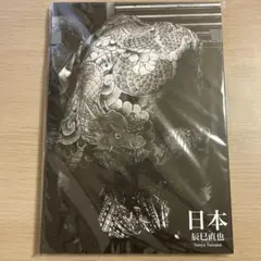 辰巳直也 日本