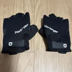 Harbingerのグローブ　サイズS