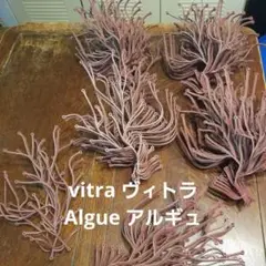 yアルギュ  ヴィトラ　白24ピース 楽天市場】vitra Algue アルギュ Ronan & Erwan Bouroullec