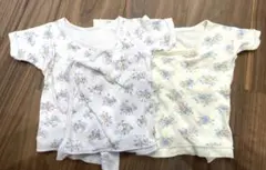 テータテート　短肌着　50〜60サイズ　美品