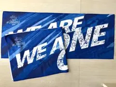 SVリーグ 東レアローズ滋賀 応援タオル
