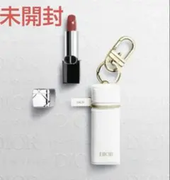 最安値　DIOR ディオール プラチナ会員ウェルカムギフト ノベルティ　2025