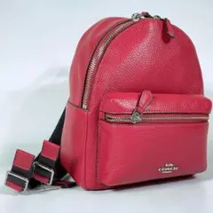新品未使用品 COACH コーチ リュック バックパック