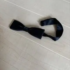 Item thumbnail for item d781c9b8-9479-4e15-be36-0067f21181ec