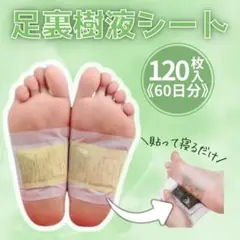 Item thumbnail for item ad5b69ed-52e0-41ab-9956-683e378c50b1