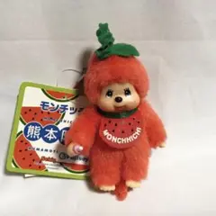 熊本限定 スイカ モンチッチ monchhichi Sサイズ 0699 熊本限定 スイカ モンチッチ monchhichi Sサイズ 0699 - メルカリ