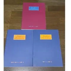宝塚歌劇団 Golden Memories パンフレット 3冊セット