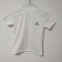 Item thumbnail for item 1b9c8328-9d31-4797-8fb1-333dada08f21