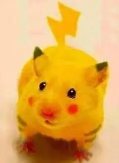 専用
