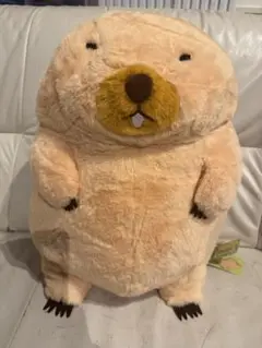 【新品】★ 第二弾！　マーモットのもっとっとモア　ボバくん　BIGぬいぐるみ ★