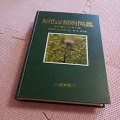 【中古】宝塚の植物1～4 4冊セット 1 草花(合弁花類) 2 草花(離弁花類) 3草花(単子葉類) 4 木本(樹木)類&lt;宝塚市文化財調査報告&gt;／宝塚市教育委員会 中古】宝塚の植物1～4 4冊セット 1 草花(合弁花類) 2 草花(離弁
