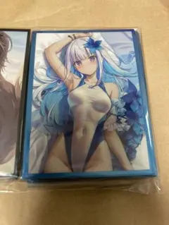 リゼ・ヘルエスタ　スリーブ