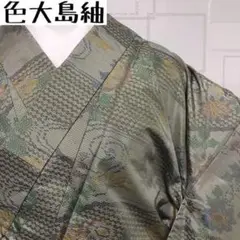 KK-544 色大島紬 横双 流水の中に花柄模様