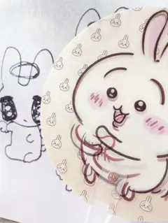ꔛ‬ちいかわꔛ‬ うさぎ 角度で 絵が 変わる.ᐣ 3D 立体 うちわ