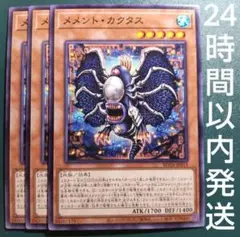 遊戯王　メメント・カクタス　ノーマル　3枚　メメントカクタス